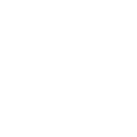 Browser Icon